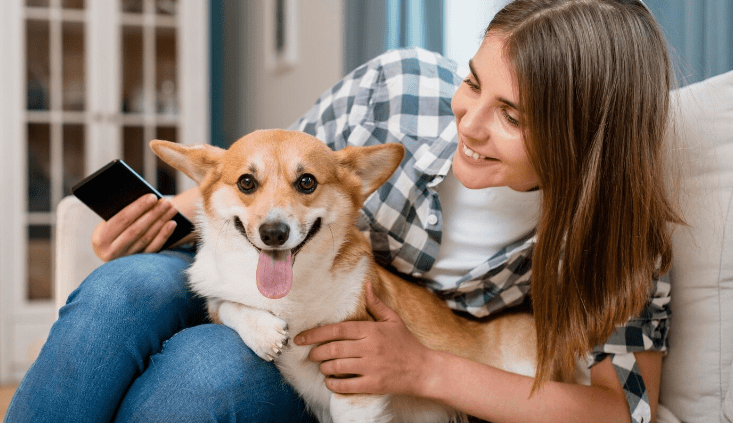 Códigos QR y tarjetas para mascotas: la forma moderna de mantener a salvo a tu peludo amigo